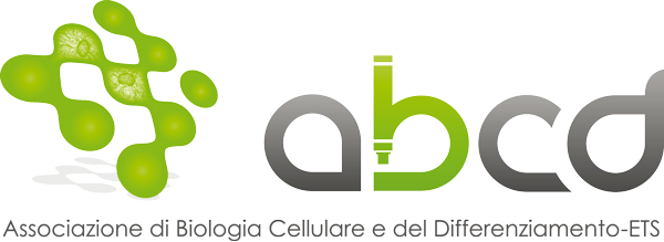 ABCD